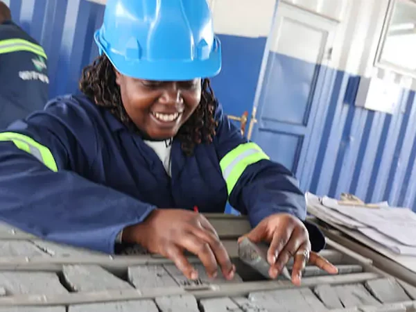 Velos Curprite Geo-Services Projects