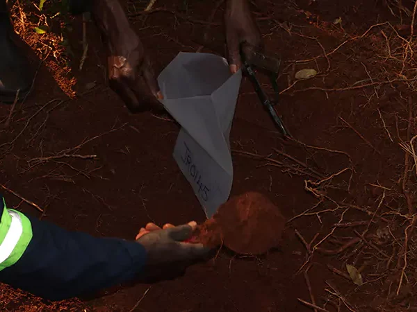 jiwindu-lubinga-002-68c1a41910562